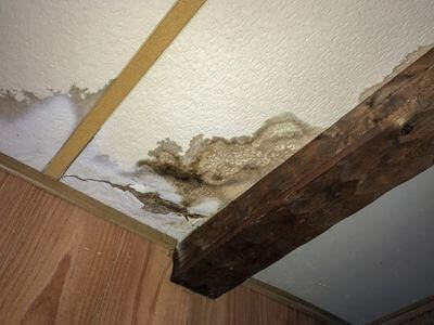 Professional water damage restoration services in Canyon Country - SurgeLine Team